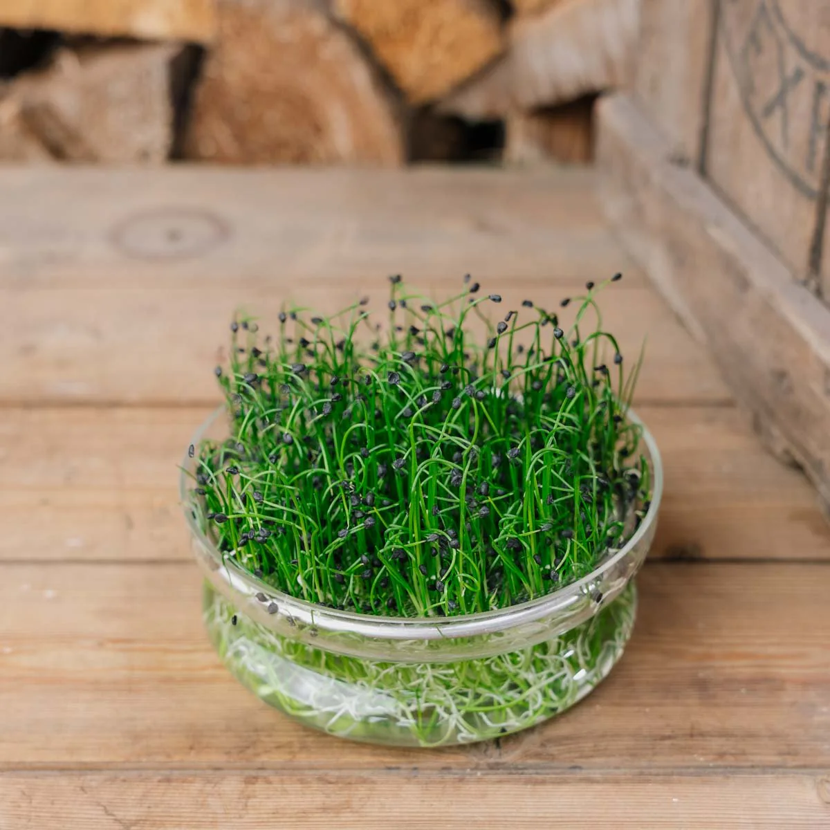 Miniatyrbild 1